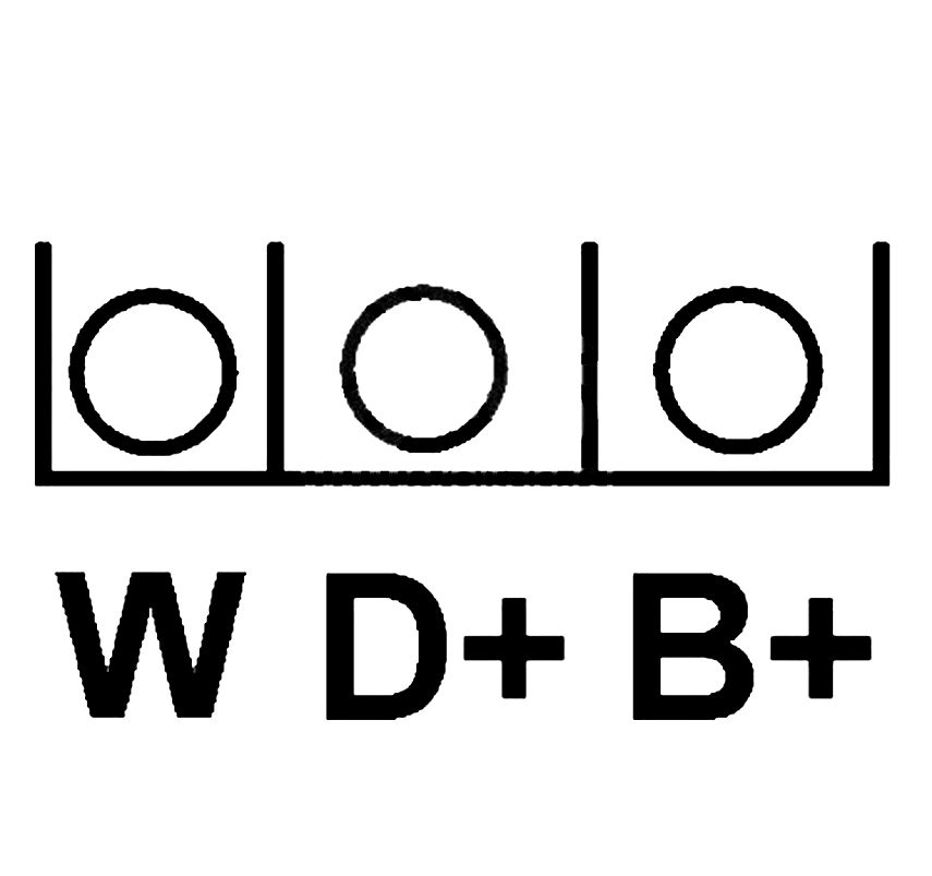 W-D+-B+